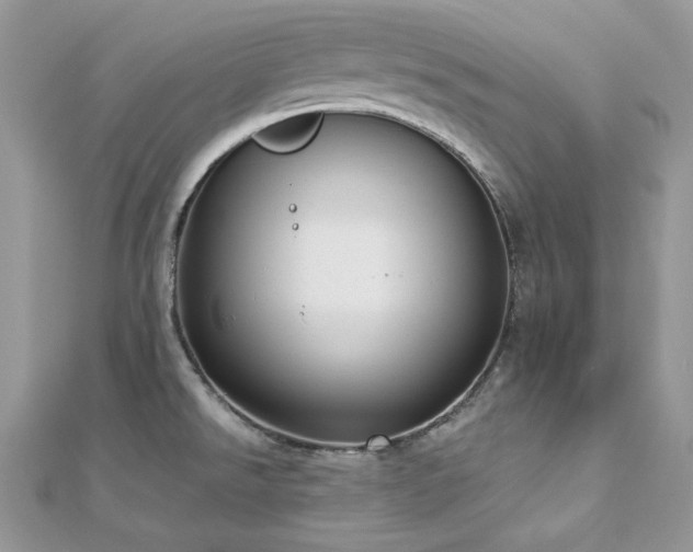 X0000112821526200908211155