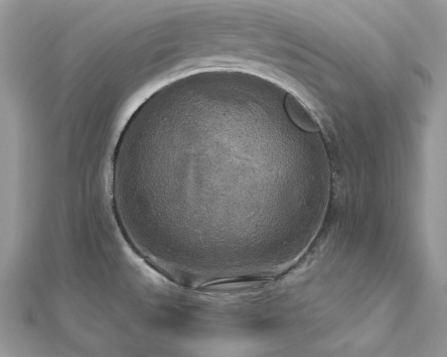 X0000112821527200908211155