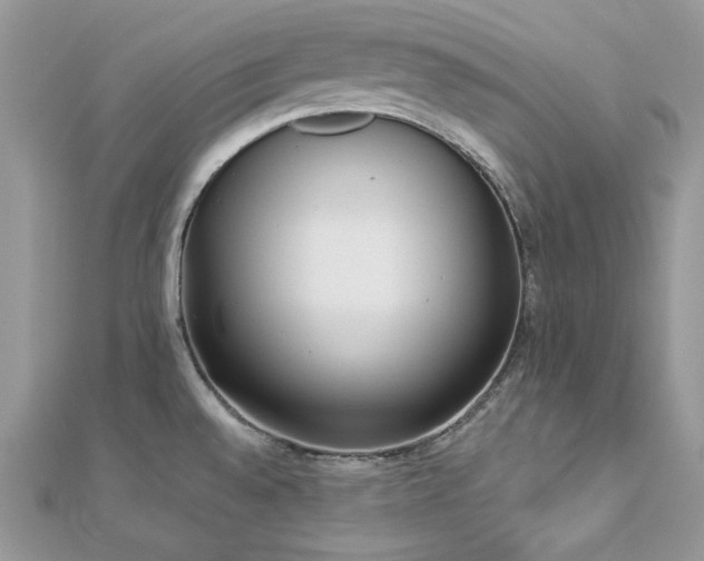 X0000112821528200908211155