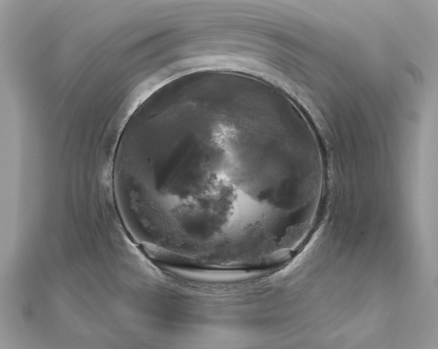 X0000112821529200908211155