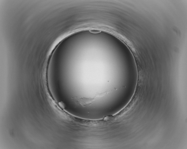 X0000112821530200908211155
