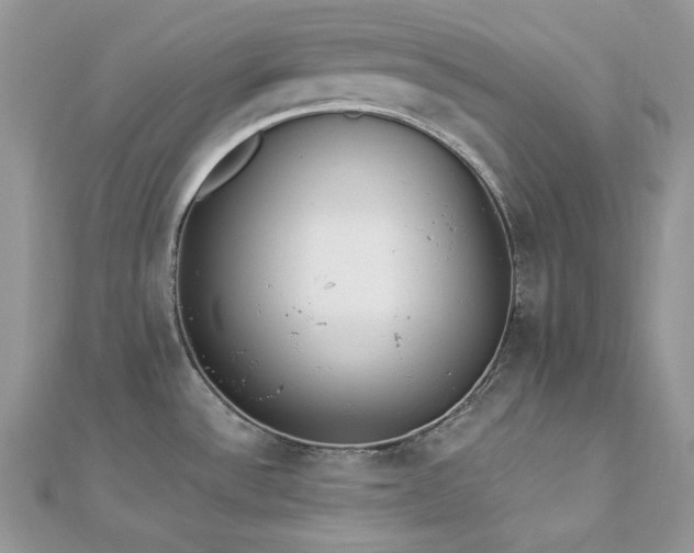 X0000112821532200908211155