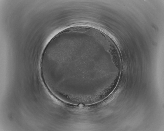 X0000112821533200908211155