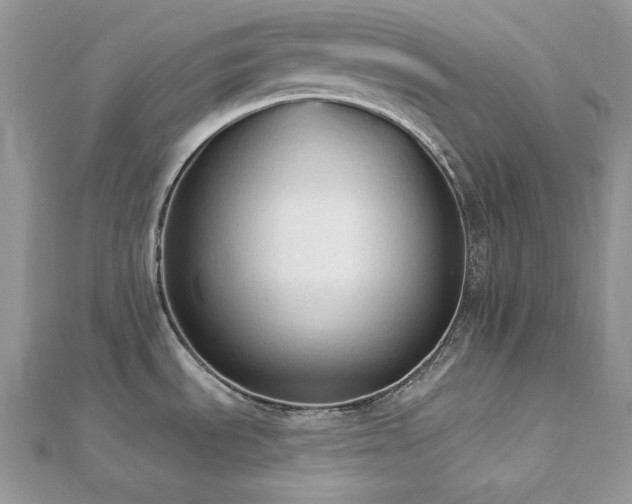 X0000112821535200908211155
