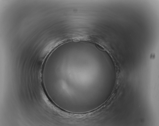 X0000112820002200908281541