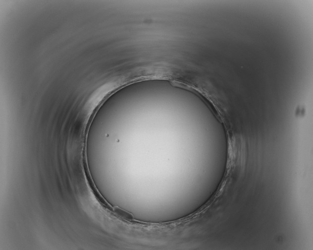 X0000112820003200908281541