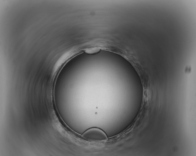 X0000112820004200908281541