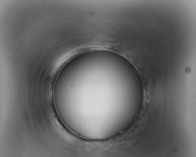 X0000112820005200908281541