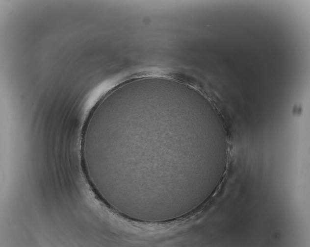 X0000112820006200908281541