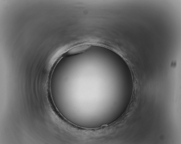 X0000112820007200908281541