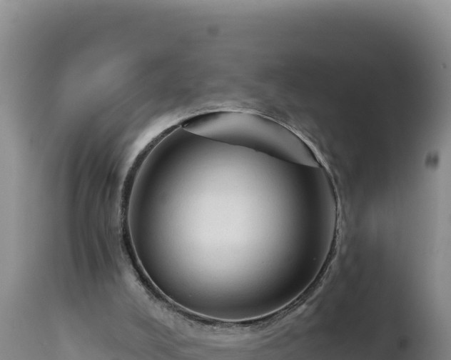 X0000112820008200908281541