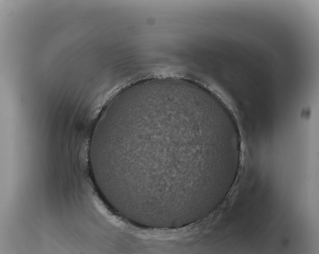 X0000112820009200908281541