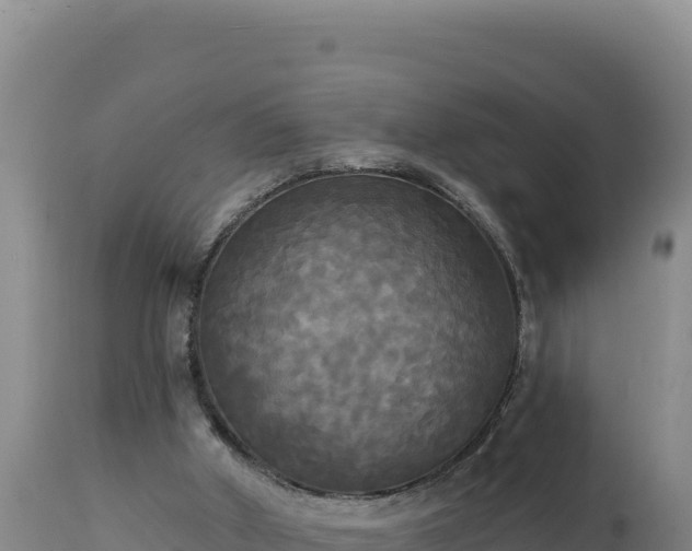 X0000112820010200908281541