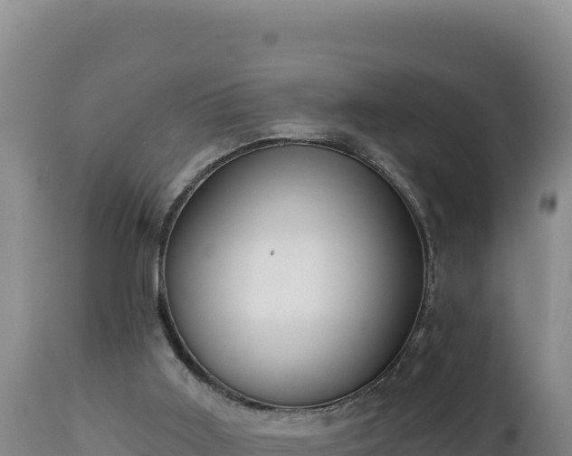 X0000112820011200908281541