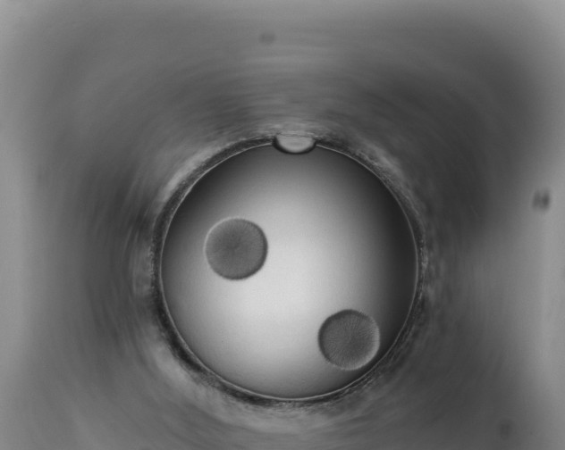 X0000112820012200908281541