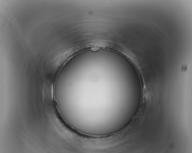 X0000112820013200908281541