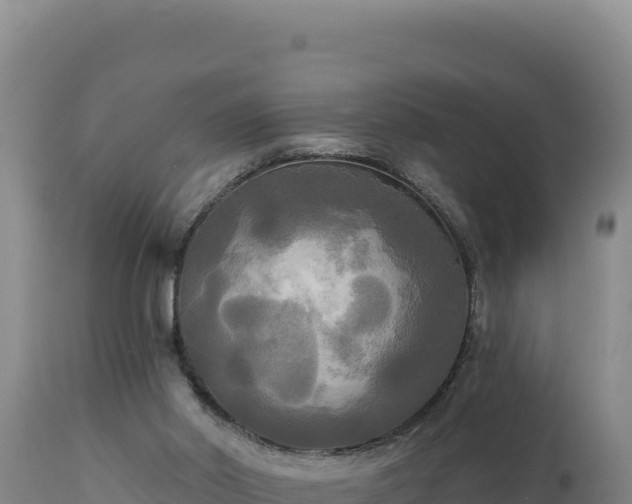 X0000112820014200908281541