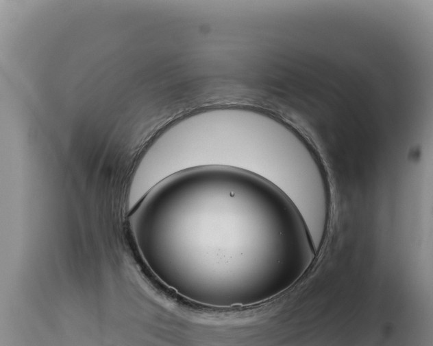 X0000112820017200908281541