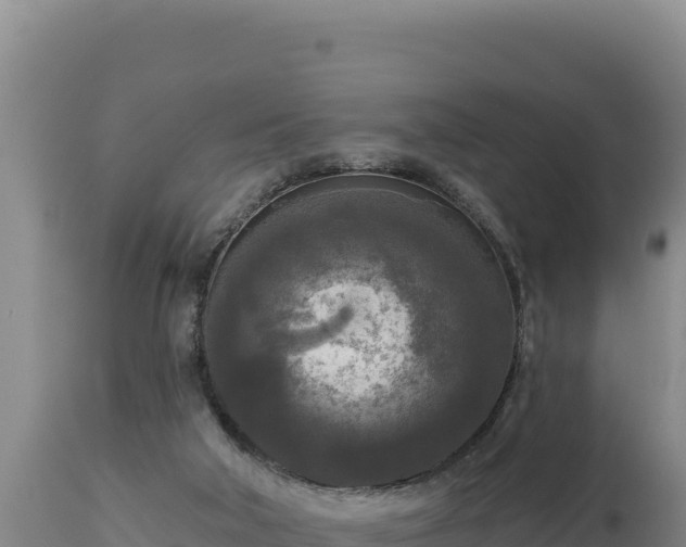 X0000112820018200908281541