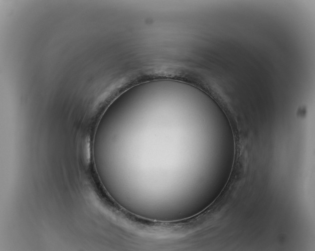 X0000112820020200908281541