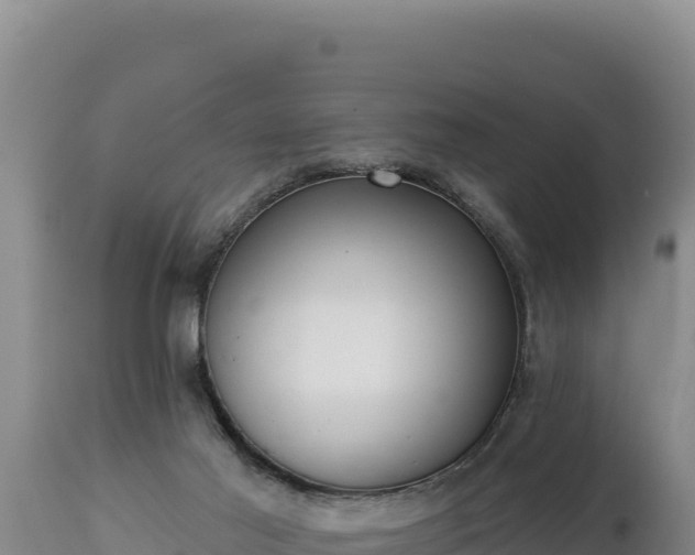 X0000112820021200908281541