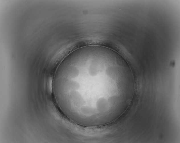 X0000112820022200908281541