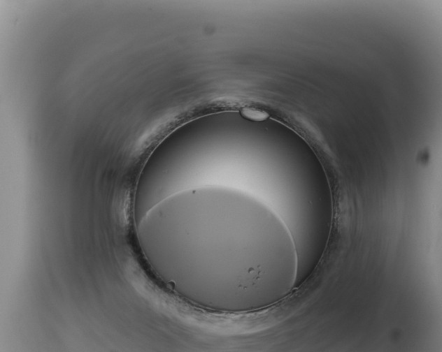 X0000112820023200908281541