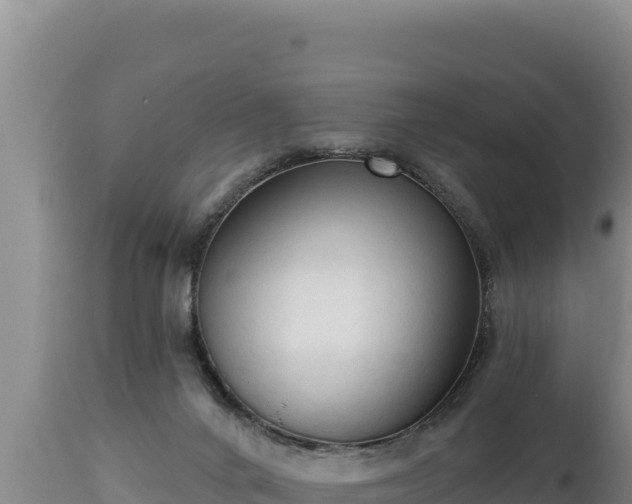 X0000112820024200908281541