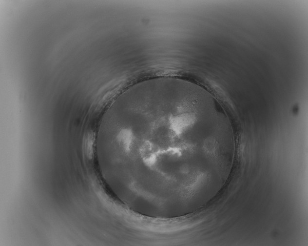 X0000112820026200908281541