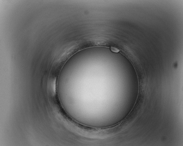 X0000112820028200908281541