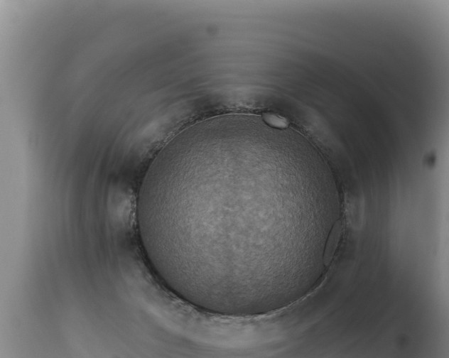 X0000112820029200908281541