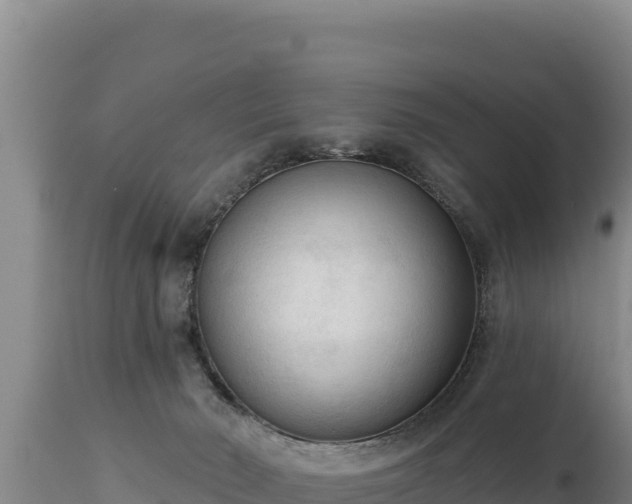 X0000112820030200908281541