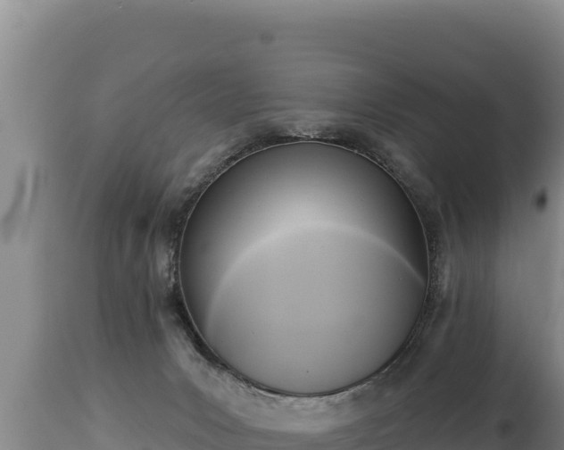 X0000112820031200908281541