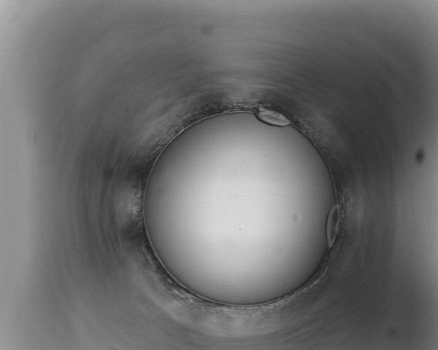 X0000112820033200908281541