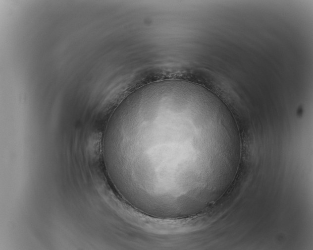 X0000112820034200908281541