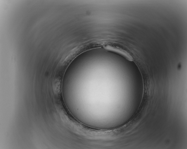 X0000112820036200908281541