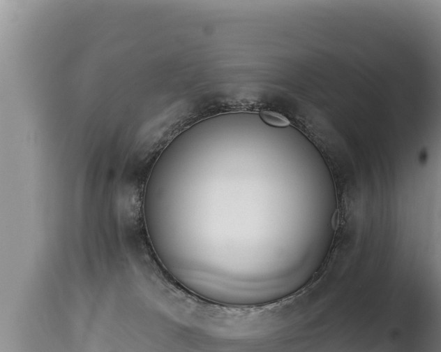 X0000112820037200908281541