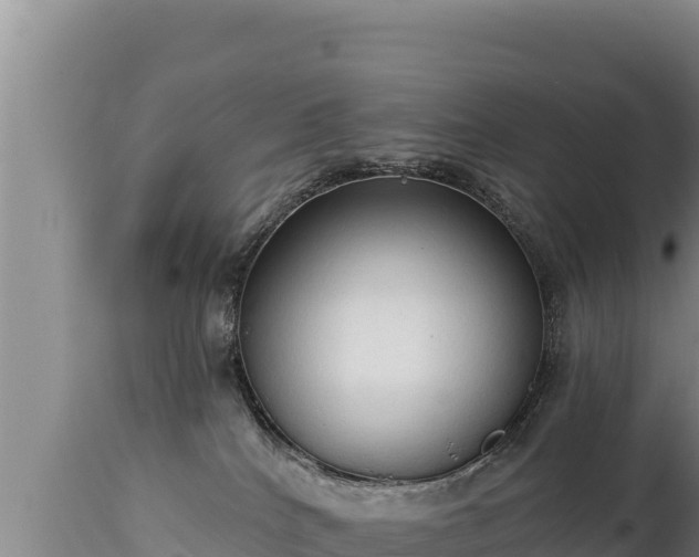 X0000112820040200908281541