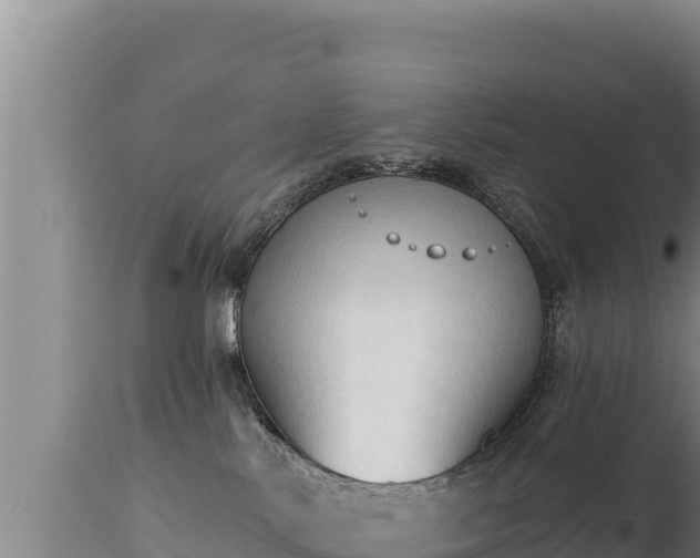 X0000112820042200908281541