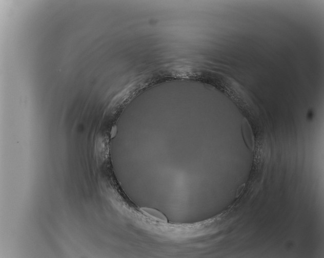 X0000112820043200908281541