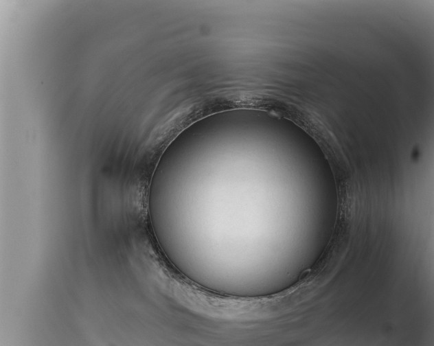 X0000112820044200908281541