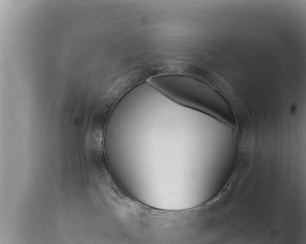 X0000112820045200908281541