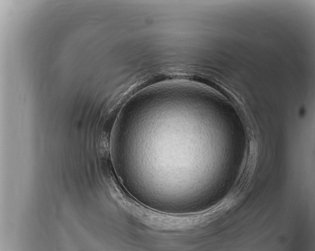 X0000112820048200908281541