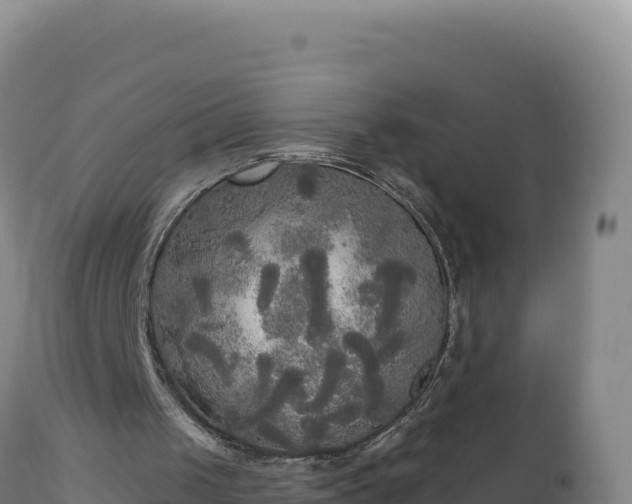 X0000112820049200908281540