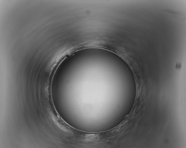 X0000112820050200908281540