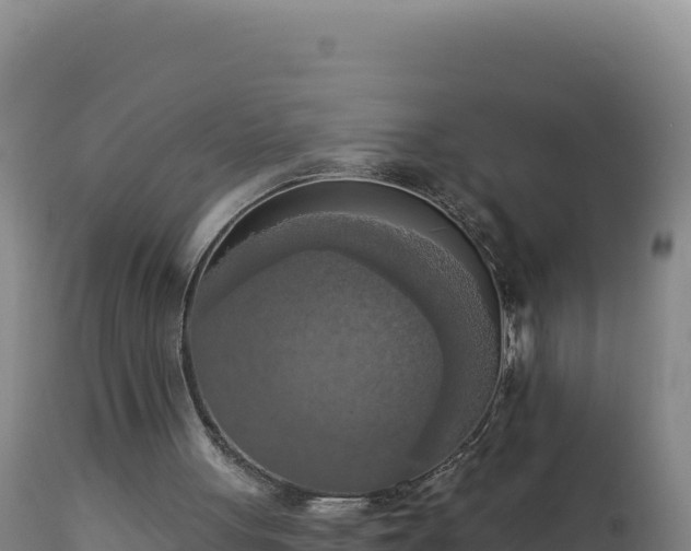 X0000112820051200908281540