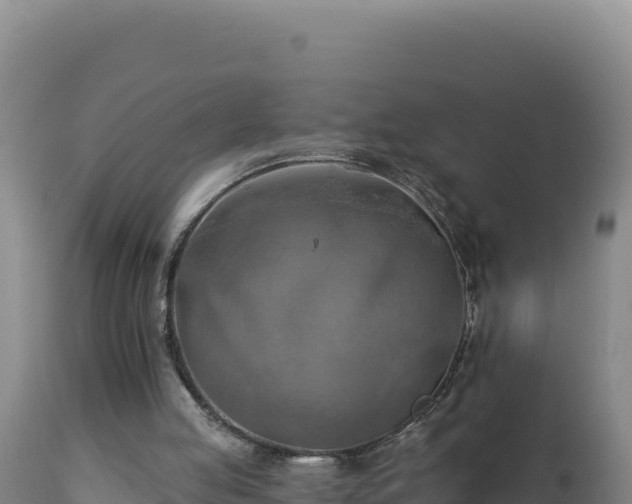 X0000112820053200908281540