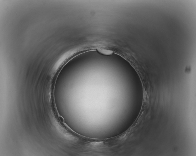 X0000112820054200908281540