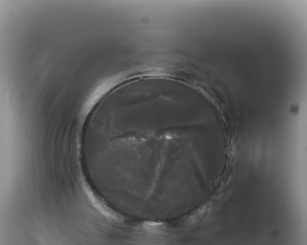 X0000112820055200908281540