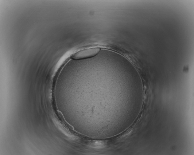 X0000112820056200908281540